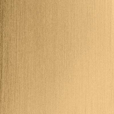Castia by Studio McGee Double Robe Hook