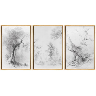 «Arbre éthéré, forêt, dessin au trait, paysage naturel, illustrations, art moderne, décor rustique et relaxant», 3 pièces