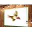 « nice flight of green oiseau », peinture-34270669-35222455