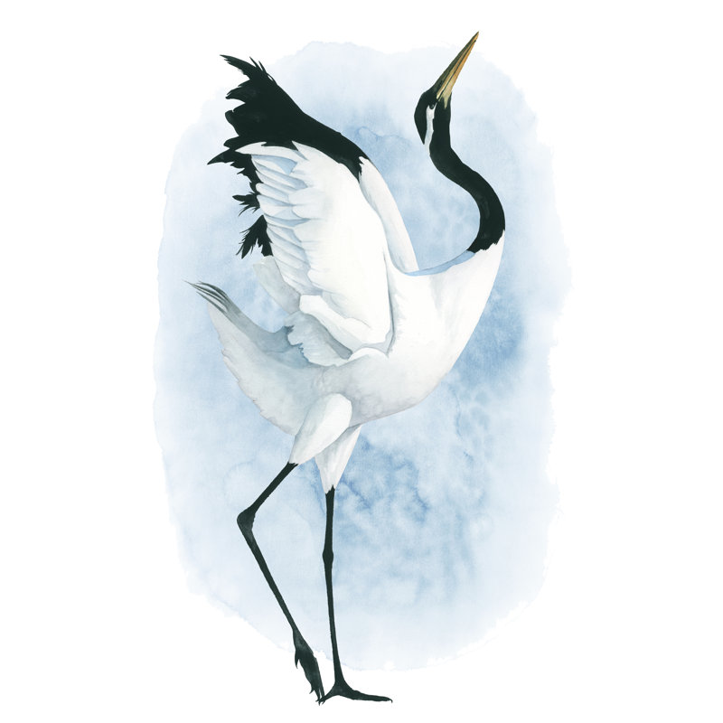 Dancing Crane II by Grace Popp - Wrapped Canvas Print, 46cm H x 30cm W x 3.8cm D