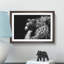 Majestic Lion Illustration in Abstract - Picture Frame Graphic Art Print-55760851-55760850
