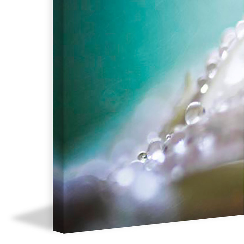 Sylvia Cook - Wrapped Canvas Print, 30cm H x 45cm W