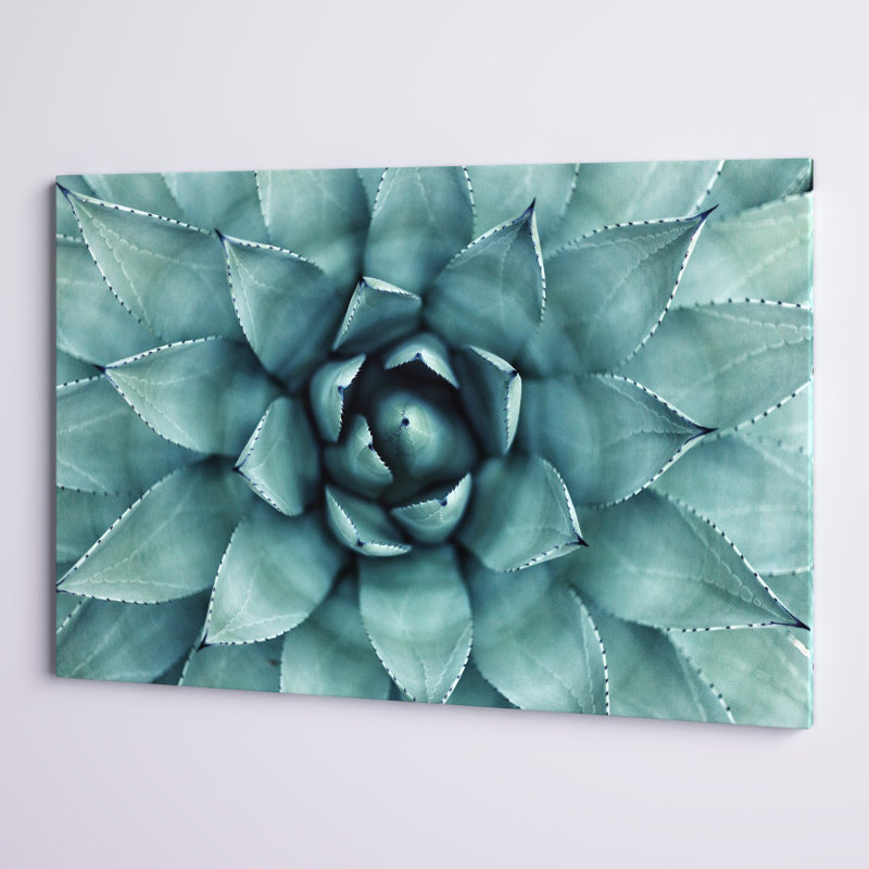 «Turquoise Succulent», reproduction de photo sur toile tendue, H 32 po x l 48 po x P 1 po