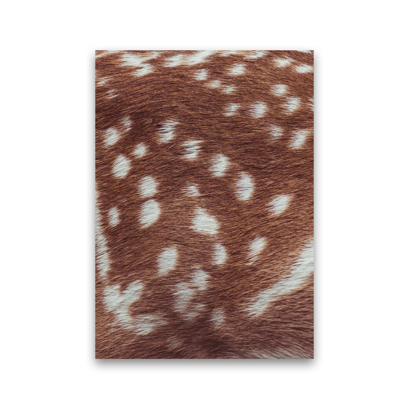 Deer Skin by Victoria Frost - Print, Unframed, 59cm H x 42cm W x 1cm D