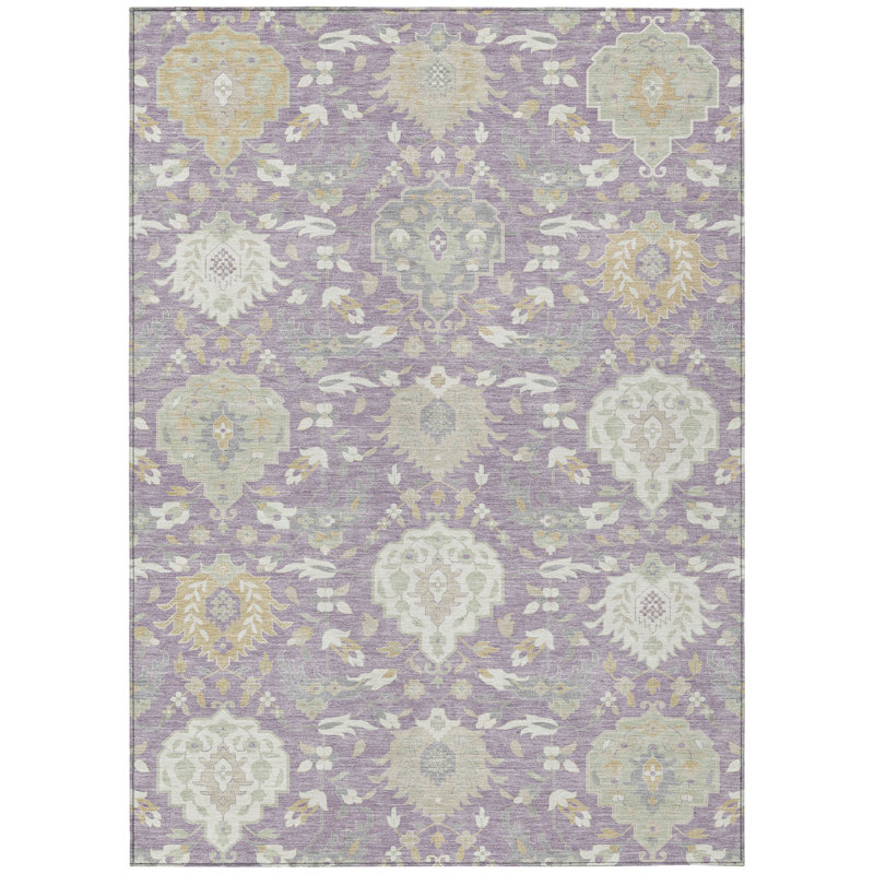  Machine Washable Indoor/Outdoor Chantille ACN1026 Rug, Rectangle 3' x 5'