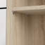 6 Pair Shoe Storage Cabinet