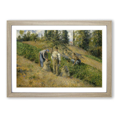 The Harvest by Camille Pissarro Framed Oil - Framed Print