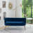 Chynna 51.2'' Velvet Flared Arm Loveseat-1768879382