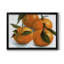 Toile encadrée de qualité supérieure Citrus Grouping II - prête à être accrochée-497993284-497988067-497993283