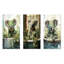 Salle de bain curieux Koala Bathtime-304462348-304462347