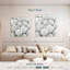 Coquilles blanches Aletra-109135409