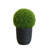 22 " H Faux Boxwood Plant