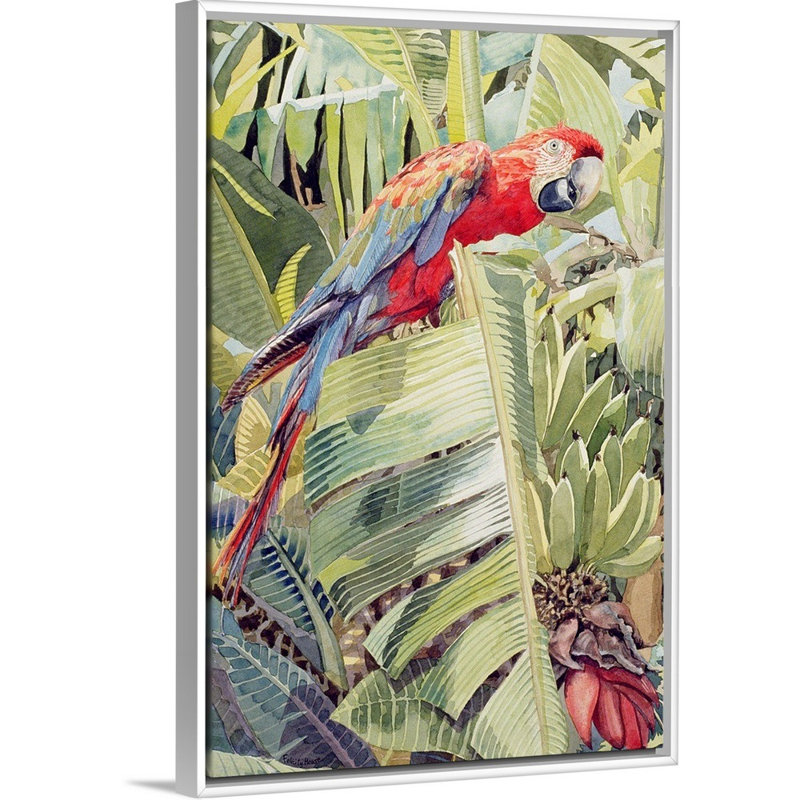 «Jungle Parrot» par Felicity House, reproduction sur toile, Cadre blanc, H 50 po x l 34 po x P 1,75 po