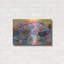 Luxe Metal Art 'Nim Cat2 By Noemi Ibarz, Metal Wal " Luxe Metal Art 'Nim Cat2 By Noemi Ibarz " by Noemi Ibarz-101657780