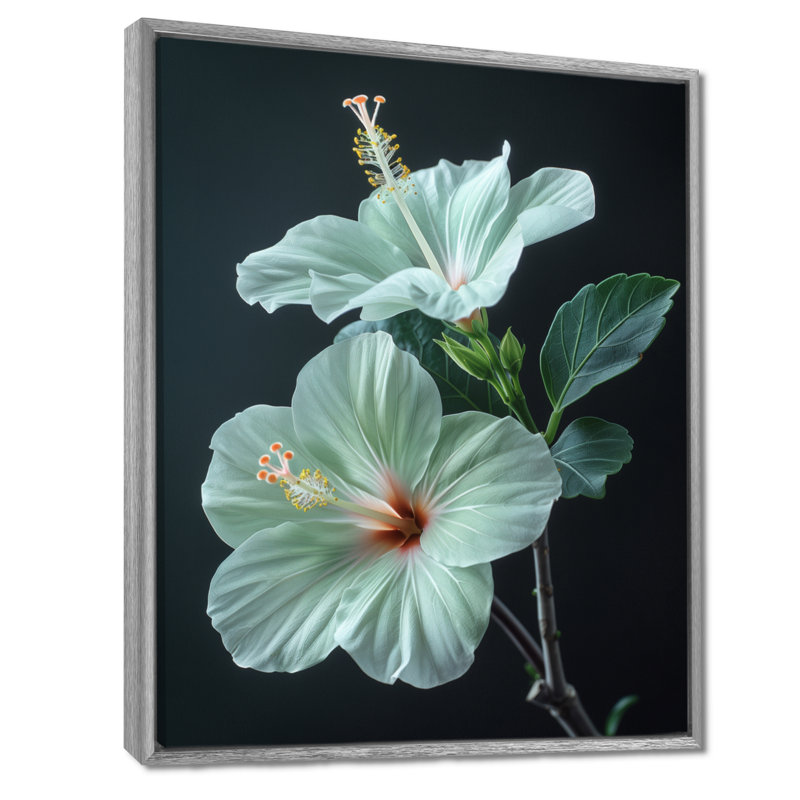 Hibiscus vert cristal II - Hibiscus, Encadrement argenté, H 12 po x l 20 po