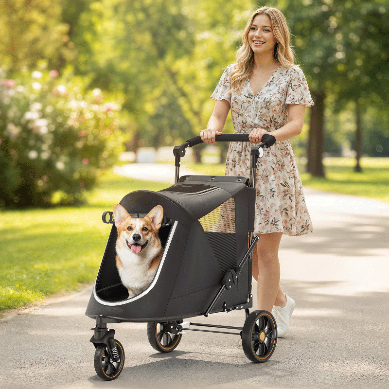 Poussette pliante pour animaux 3 roues, poussette pliable pour chien avec guidon réglable et fenêtre en filet, Bleu