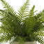 Outdoor UV-Rated Fern in Fiberstone Pot-748258957