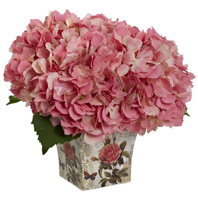 Arrangement floral d'hortensias en pot, Rose