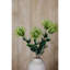 Pincushion Protea Spray-111171268