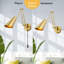 Spotlight