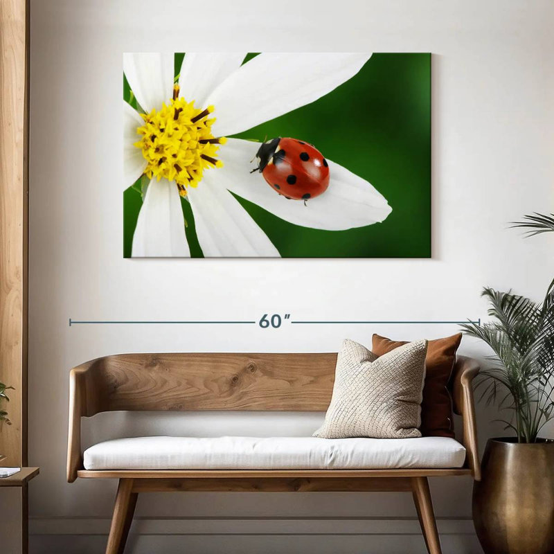 Brampt Ladybug On White Flower, 30" H x 45" W