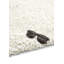 Camryn Polish Cream Rug-35524325