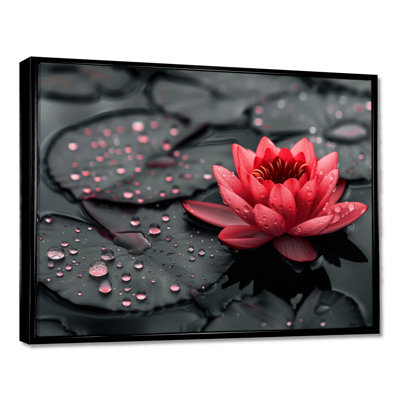 Romantic Red Black Lotus Pond Photo II - Lotus Wall Art