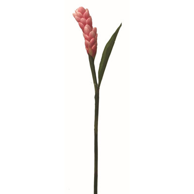 Ginger Torch Arrangement