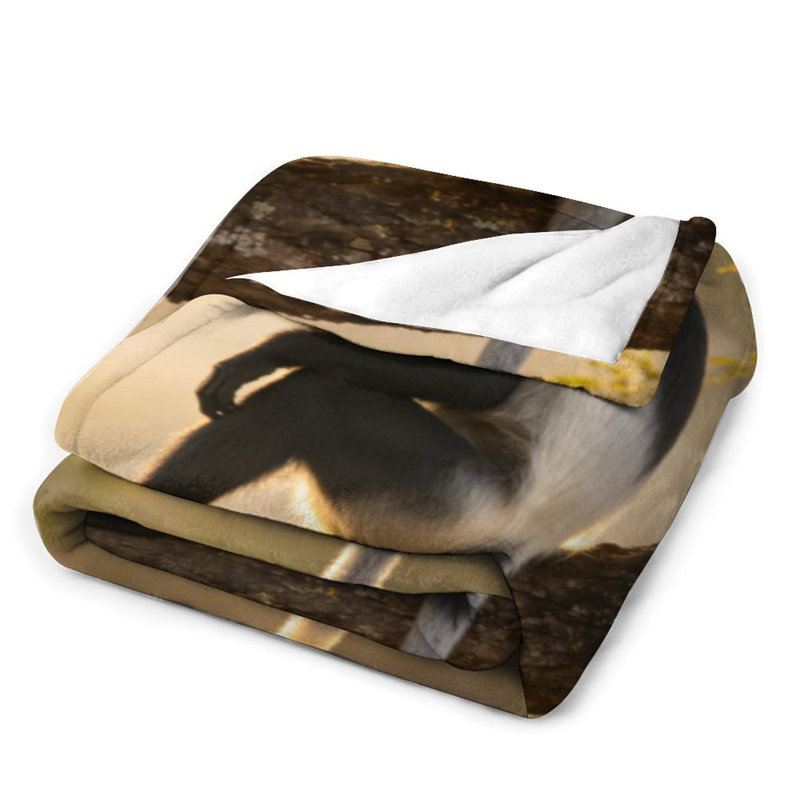 Jeté en flanelle de luxe noir et blanc Monkey On Branch, 60 x 80 po