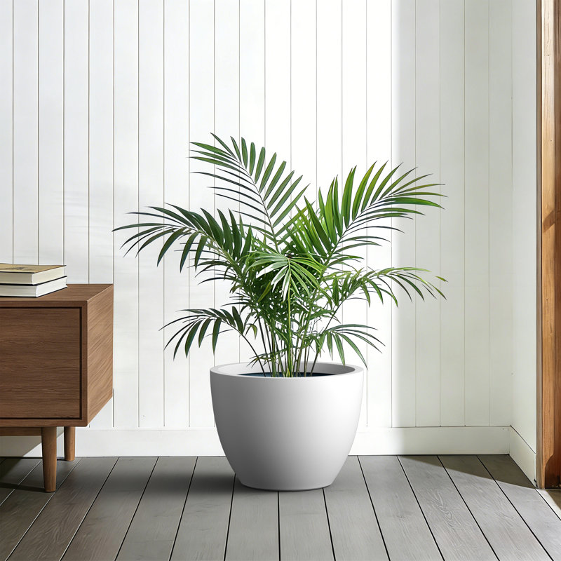 17 in. Medium Pearl White Concrete Round Planter/ Pot (Upgraded Interior) with Drainage Holes, Pearl White