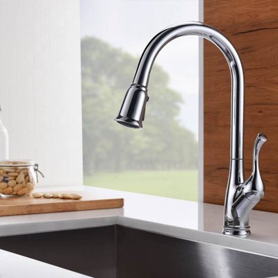 OAKLAND Pull Down Kitchen Faucet