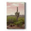 Désert de l'Arizona - galerie Cavas sur mesure-1435902991