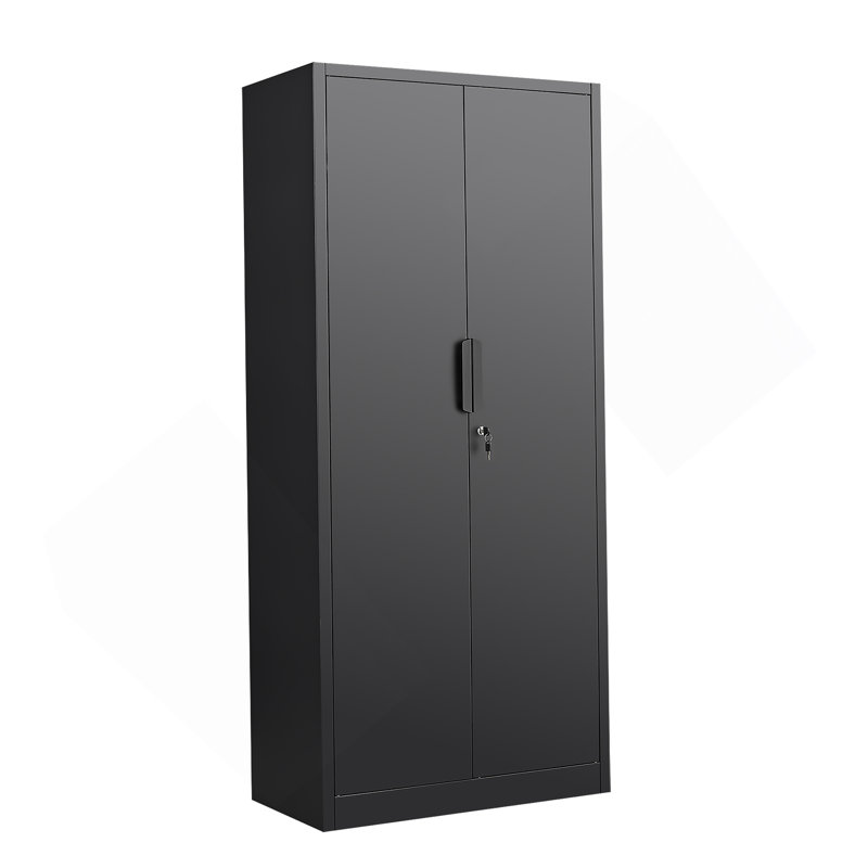 Storage Cabinet, 2-Door File Cabinet With Lock, 4 Adjustable Shelves For Office, Home, Black