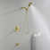Shower Faucet