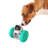 Hybrid Feeder/Toy