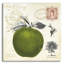 «Apple Notes» par Studio Mousseau-1784476038