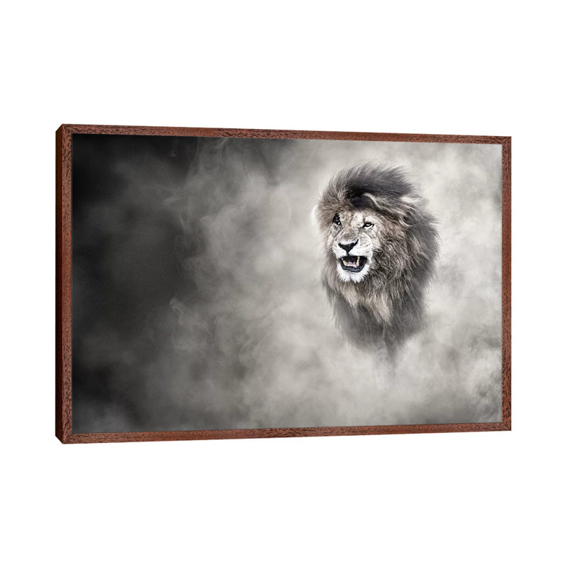 Vulnerable African Lion In The Dust by Susan Schmitz - Print on Canvas, Classic Brown Wood Floater Framed