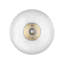 Glass Flush Mount