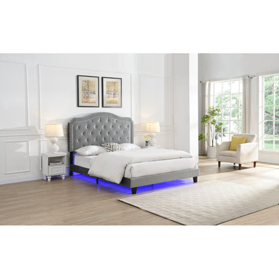 Bouton de lit rembourré capitonné avec un design incurvé - Support de lattes en bois robuste - Assemblage facile - Velours gris clair - Avec lit plateforme à DEL - Grand