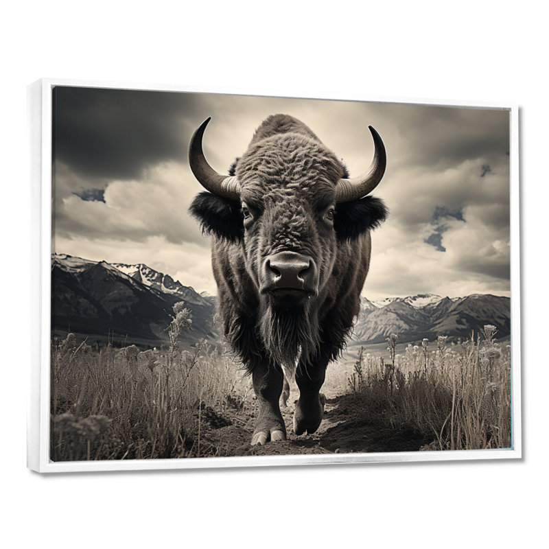 Bison Majestic Bison Framed On Canvas Print, 30" H x 40" W x 1.5" D, White Floater Framed