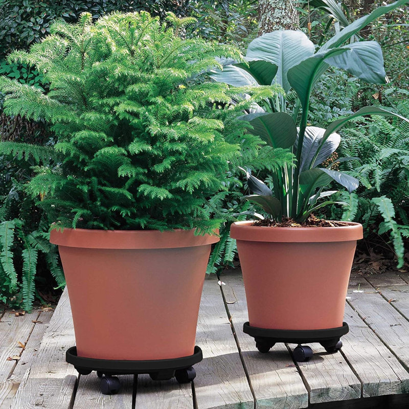 Marietraud Caddy Plant Stand