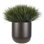 UV RATED | Grass, Dome Planter, Brown, 34wx34dx35h