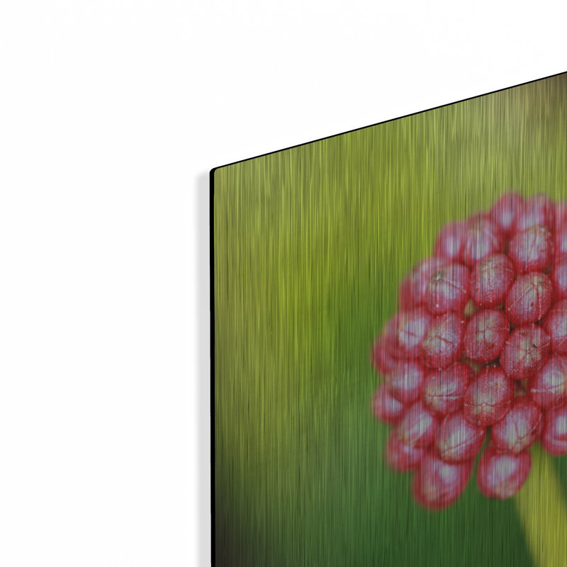 " Pod " by Dana Brett Munach, 12" H x 16" W