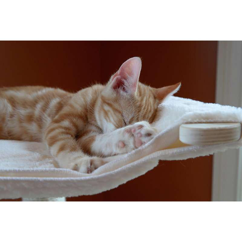 Natural Wood and Sisal Multi-Level Cat Tree Tower