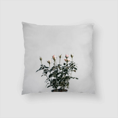 Housse et insert pour coussin carré