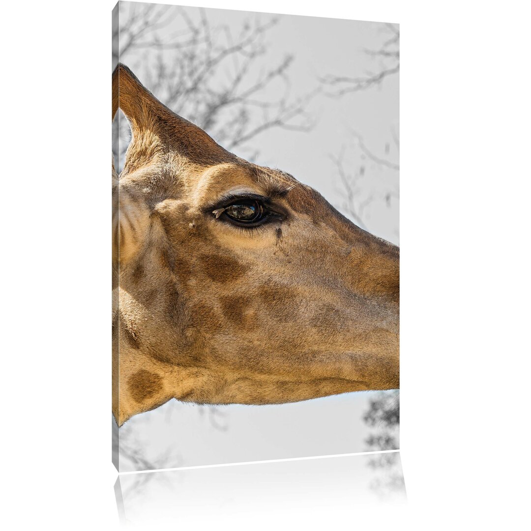 Leinwandbild Anmutige Giraffe isst