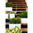 Planter Box-1439870893-1439870888