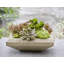 Garden Terrace Planter-13940383