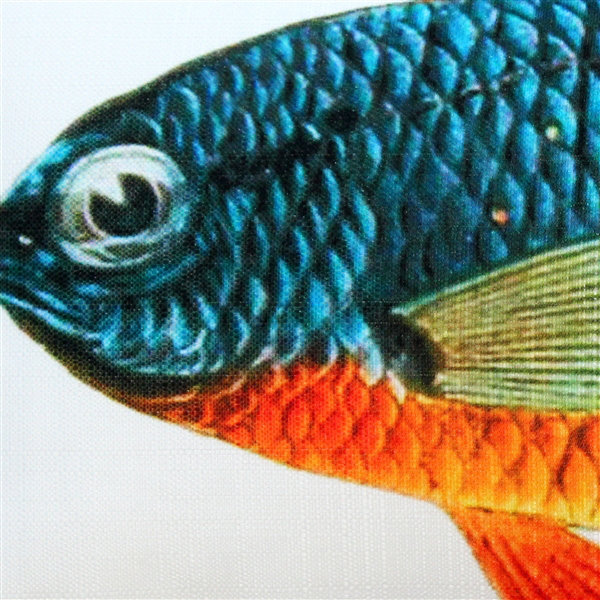  Coussin lombaire intérieur / extérieur Guppy Fish