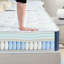 Snooze Button Collection Inofia Pocket Sprung Mattress-94230872